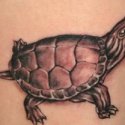 Kaplumbağa Tattoo
