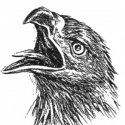 Kartal