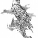 Kartal