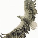 Kartal