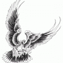 Kartal