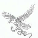 Kartal