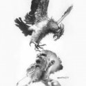Kartal