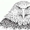 Kartal Başı