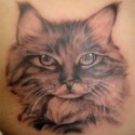 Kedi Tattoo