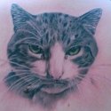 Kedi Tattoo