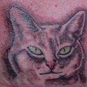 Kedi Tattoo