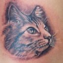 Kedi Tattoo