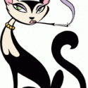 Kedi