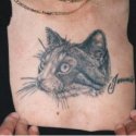 Kedi Tattoo