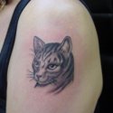 Kedi Tattoo