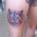 Kedi Dövmesi