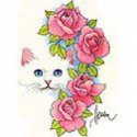 Kedi Gül