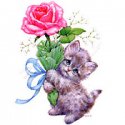 Kedi Gül