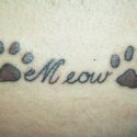 Kedi Pati Tattoo