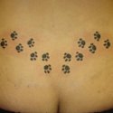 Kedi Pati Tattoo