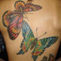 Kelebek Tattoo