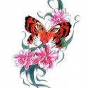 Kelebek Kaplan Çiçek