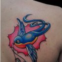 Kırlangıç Zarlar Tattoo