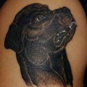 Köpek Tattoo