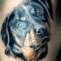 Köpek Tattoo