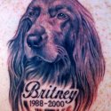 Köpek Tattoo