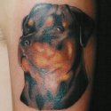 Köpek Tattoo