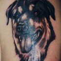 Köpek Tattoo