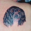 Köpek Tattoo