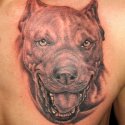 Köpek Tattoo