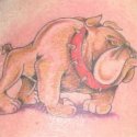 Köpek Tattoo