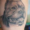 Köpek Tattoo