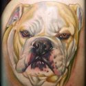 Köpek Tattoo