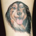 Köpek Tattoo