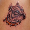 Köpek Tattoo