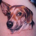 Köpek Tattoo