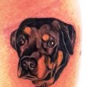 Köpek Dövmesi