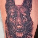 Köpek Kurt Tattoo