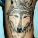 Köpek Kurt Tattoo