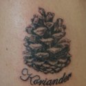 Kozalak Çam Tattoo