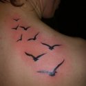 Kuş Sürüsü Tattoo