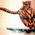 Leopar Tattoo