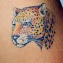 Leopar Tattoo