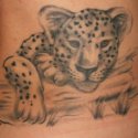 Leopar Fantazi Tattoo