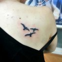 Martı Kuşlar Tattoo