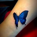 Mavi Kelebek Tattoo