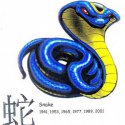 Mavi Kobra