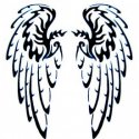 Melek Kanat