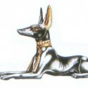 Mısır Firavun Köpek