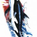 Orka